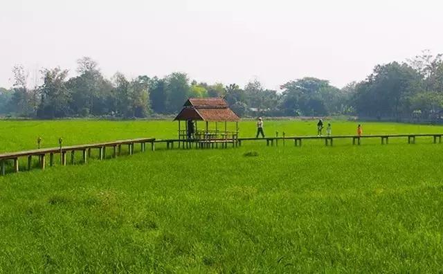 在邓丽君最爱的清迈小城，住进这个稻田间的别墅
