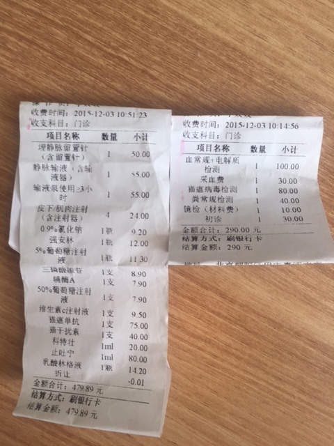 去猫舍买猫要多少钱,宠物市场买的蓝猫两个月能活吗