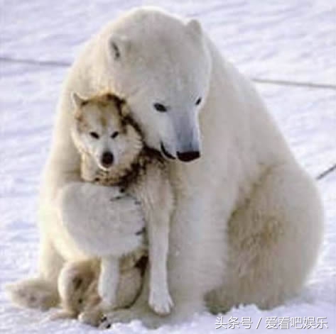 女生在理工大学就读是什么感受,女生读理工大学的感受