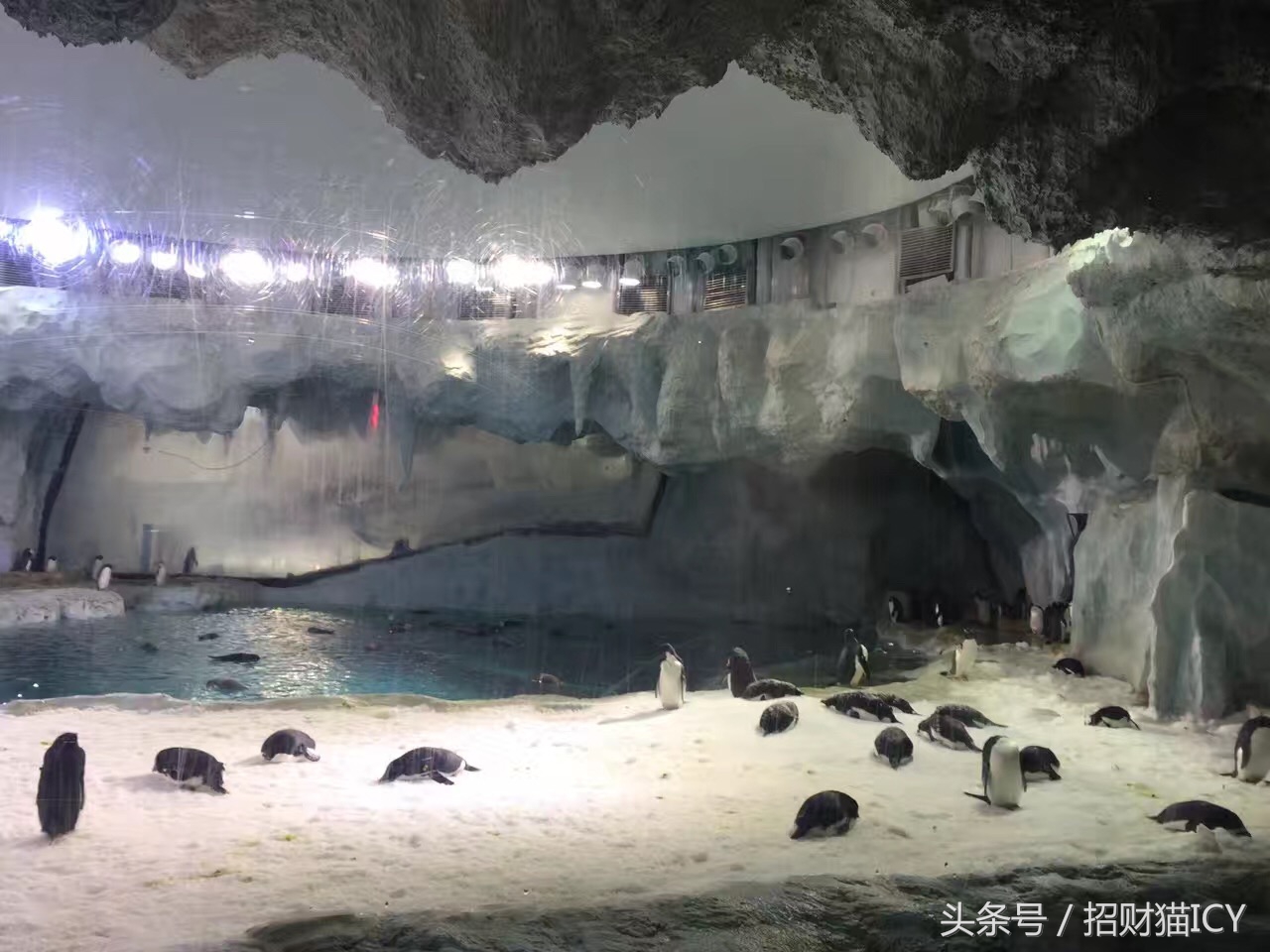 珠海长隆奇幻之旅,广州珠海长隆两天一夜攻略