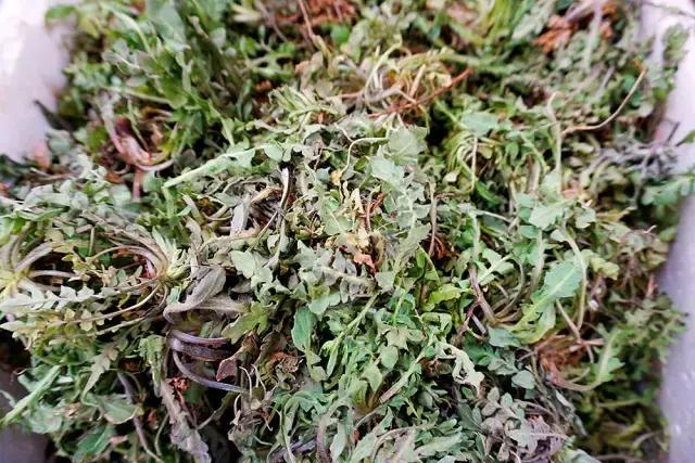 青岛市场火的小吃,最近很火的青岛菜