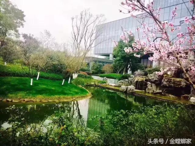 对不起，我要去金螳螂上班了，记得装修找我哦……