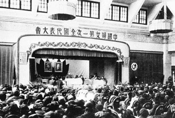 每日花语万寿菊,每日花语蔡依林