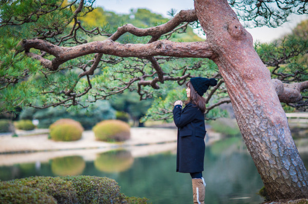 樱花烂漫几多时完整版,日本樱花节赏樱攻略视频大全