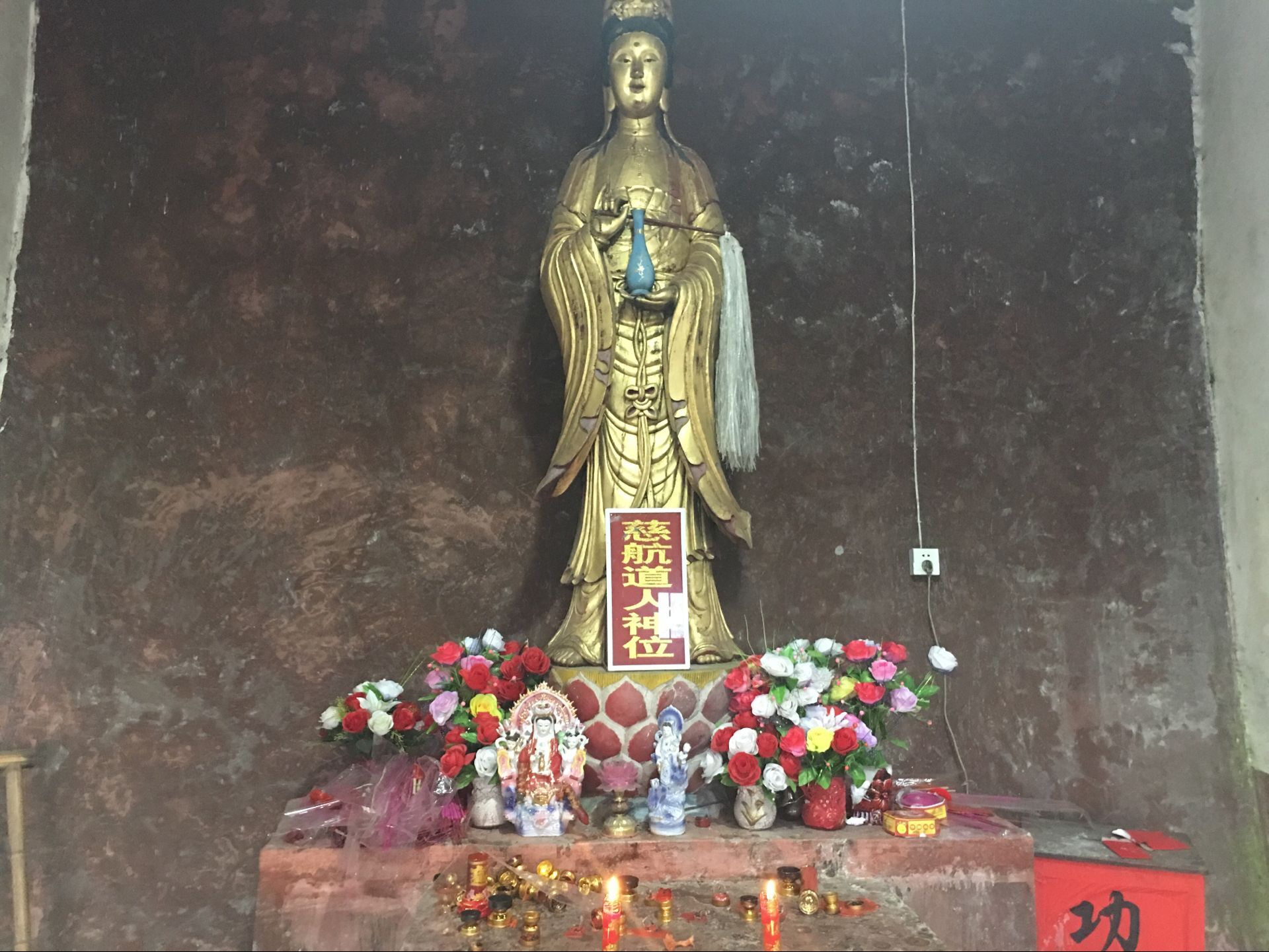 苏民峰2022年属虎运势及破解方法,属虎火木旺2022年运势