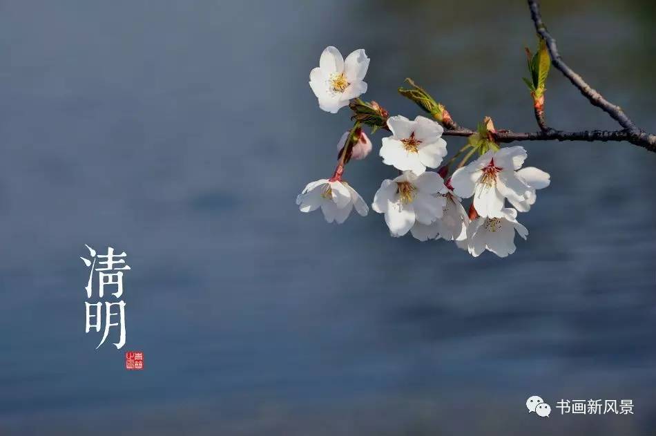 清明这首古诗的翻译,清明这首古诗怎么画