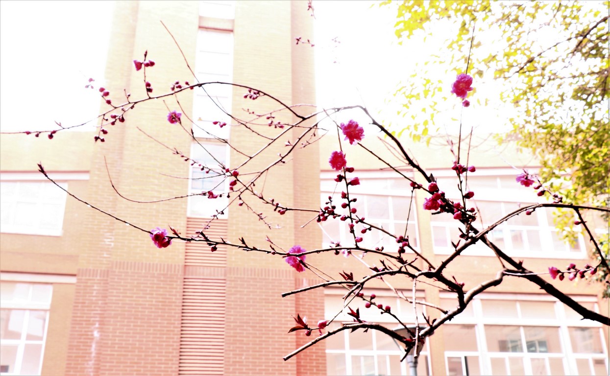 郑州大学新校区门禁卡,郑州大学新校区哪个门可以随便进