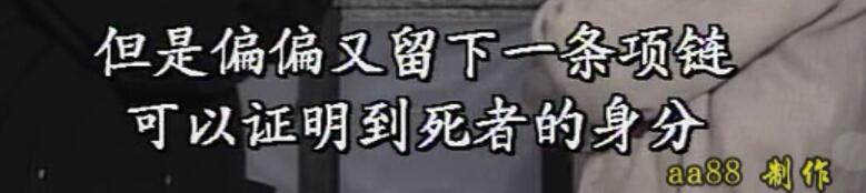 刑事侦缉档案袁天丽马成昌第五集,刑事侦缉档案袁天丽