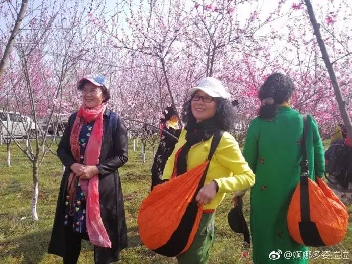 西安长安区赏桃花的地方最新,西安王莽万亩桃花盛开