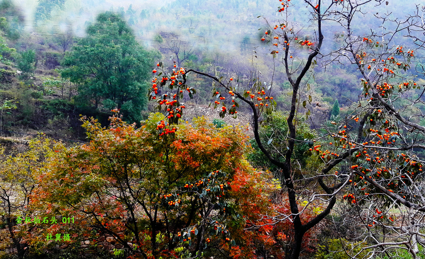 辉县四大景点,辉县四姑娘庙