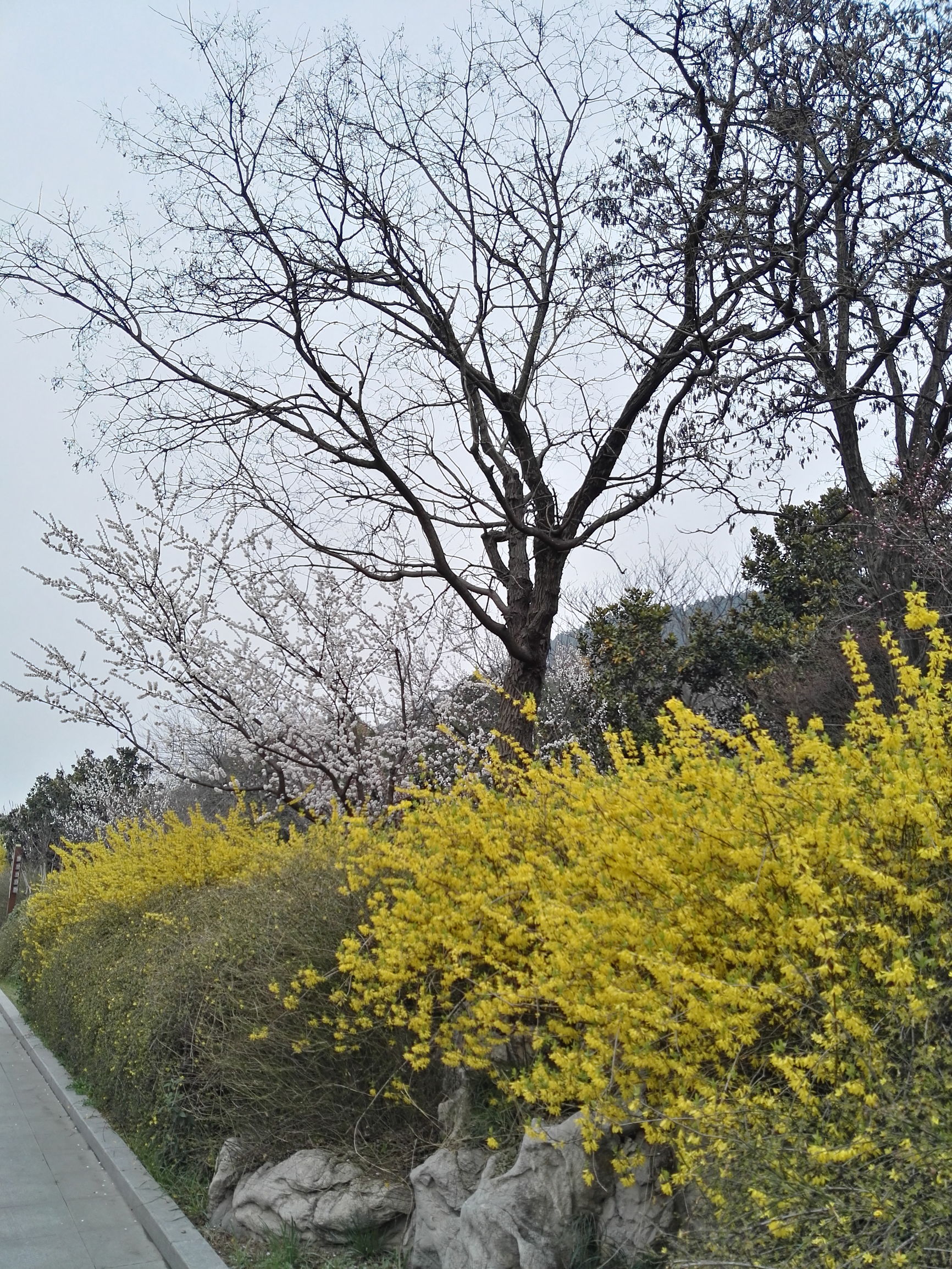 彭祖园好玩还是云龙湖好玩,徐州彭祖园好玩还是金龙湖好玩