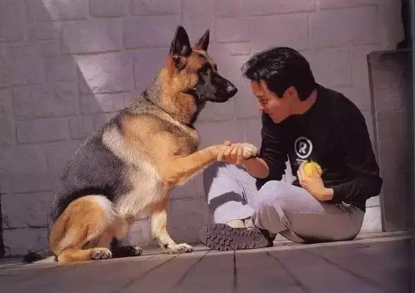 哥哥张国荣的传奇一生,张国荣老照片100张