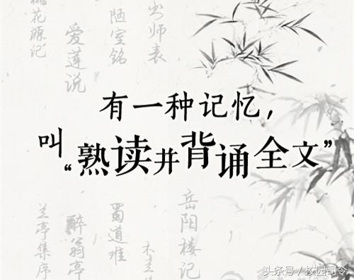 留学生没钱做什么副业,留学生没钱了怎么办