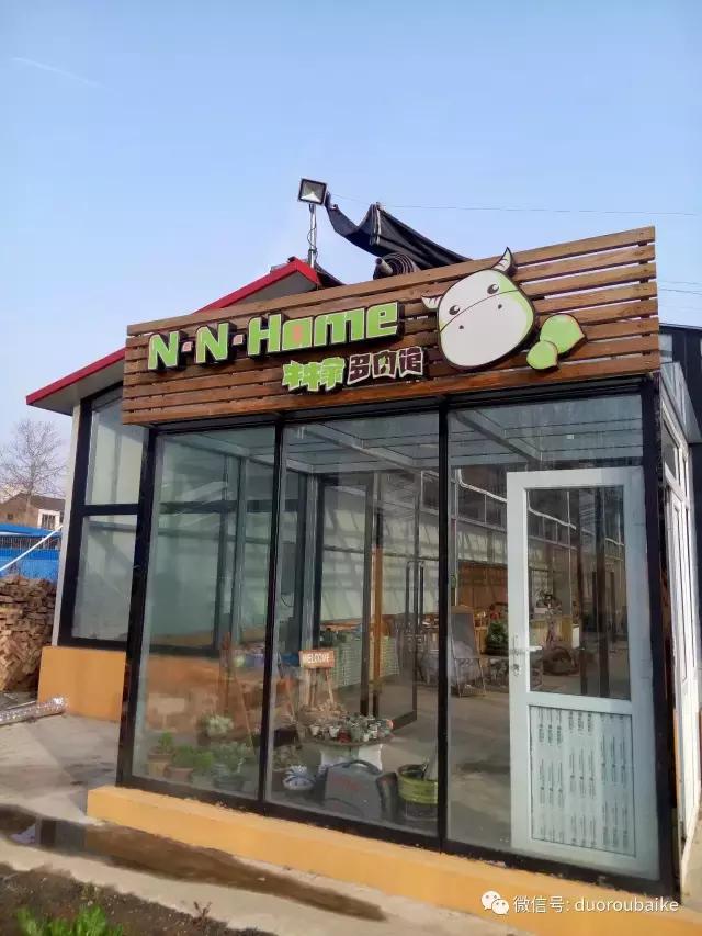 多肉为什么比较坑,多肉基础知识详解