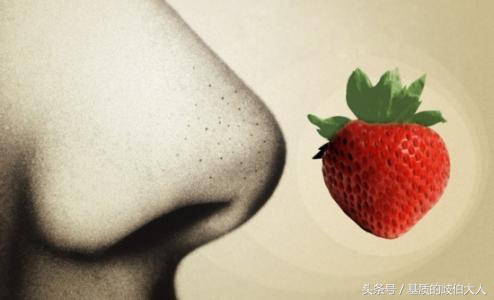 90岁黑头粉刺去除的过程 (外用中药可以祛黑头粉刺吗)