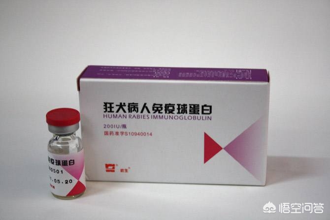 9岁男孩被狗狗舔突发狂犬病,9岁男孩被狗舔伤口病发身亡