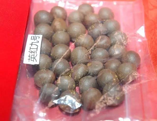 「关注」在太空遨游是一种怎样的体验？听听英德红茶是怎么说的