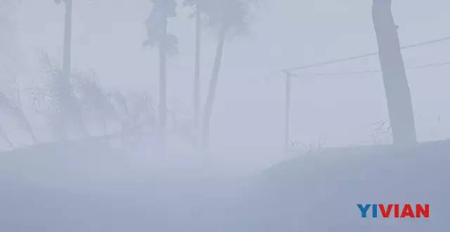 htc vive今年上50款应用 (htc vive)