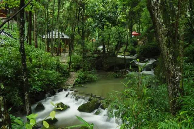 青田旅游路线推荐,青田周末自驾游