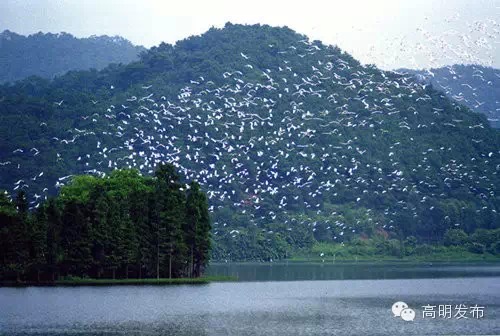 浣涘北婀垮湴瑙傞笩,浣涘北鍗佷匠瑙傞笩鑳滃湴