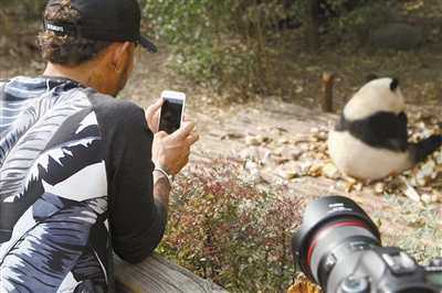 f1汉密尔顿三百场大奖赛,f1三冠王汉密尔顿