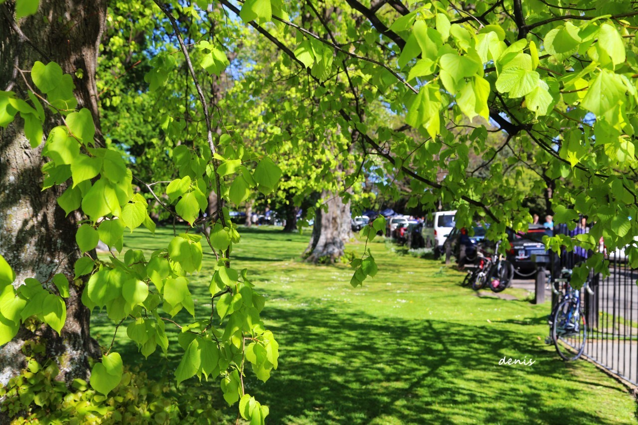 到新西兰旅游有什么好处,新西兰旅游有什么好