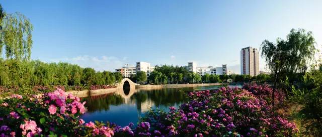 青岛农大近期新闻,青岛农大好吗