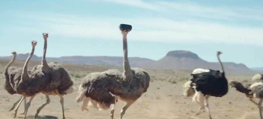 鸵鸟戴上vr眼镜广告,鸵鸟宣传
