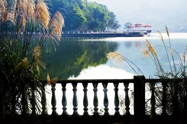 重庆最委屈的城市,重庆最落后的五个区