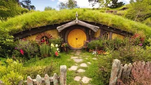 到新西兰旅游有什么好处,新西兰旅游有什么好