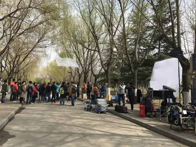 青岛农大现在情况,青岛农大放开了吗