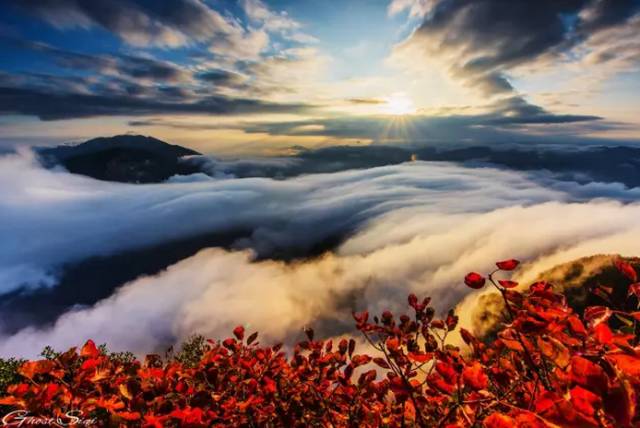 国家发改委最新发布消息重庆,重磅国务院最新通知