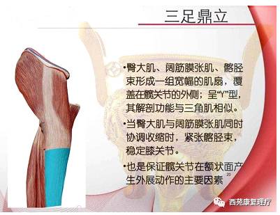 西苑康复理疗,西苑康复医院