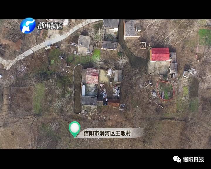 「城事」信阳小女孩无爹无娘，只是想让爷爷奶奶吃顿城里饭