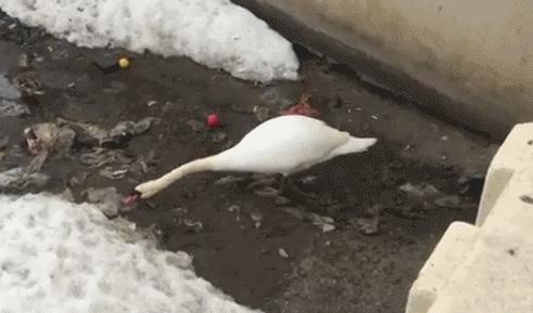 这个从垃圾山中成长起来的印度小伙,为了拯救环境,发明了一款可以吃的塑料袋