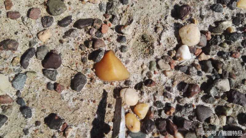 金丝玉宝石光在哪捡,捡金丝玉海蓝宝石的地方