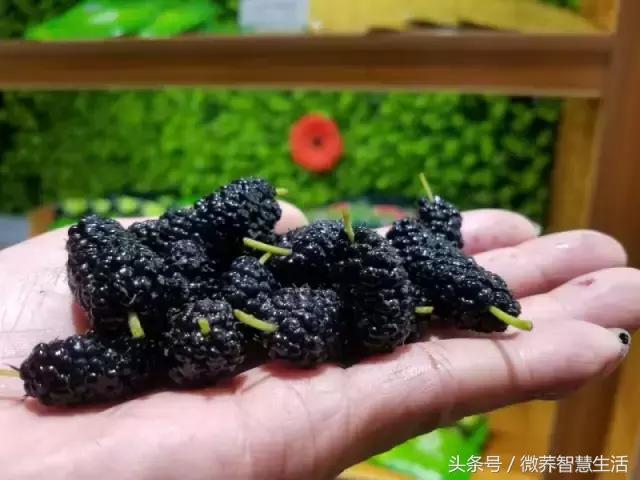 挡不住吃货的热情,挡不住的吃货热情