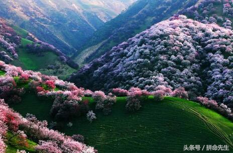 睡衣免费送商品模式,睡衣免费送营销方案