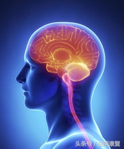 偏瘫穴位治疗方法,中医治疗偏瘫最快的方法