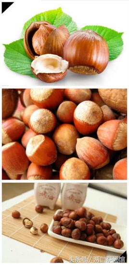 大别山深处的绝美山珍!