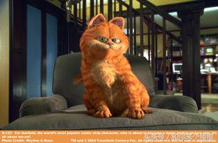 回忆8090后看过的国产动画片歌曲,90后日本动画片回忆