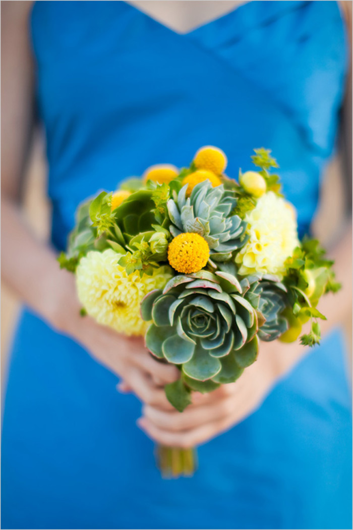 一股清香，一股青苹果香味的多肉植物百合丽丽，适合做多肉手捧花