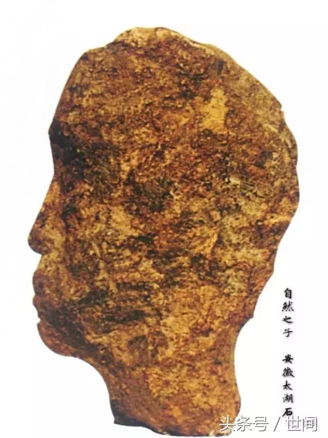 世间读书会第十一期丨魏嘉瓒·石韵