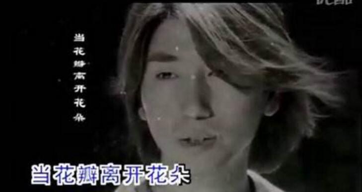 陈坤舒畅刘亦菲,陈坤舒畅