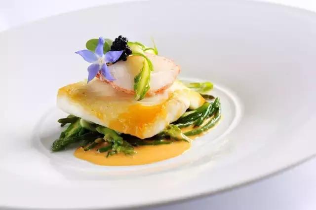 明星推荐的花胶品牌是真的吗,最好的花胶是什么样的