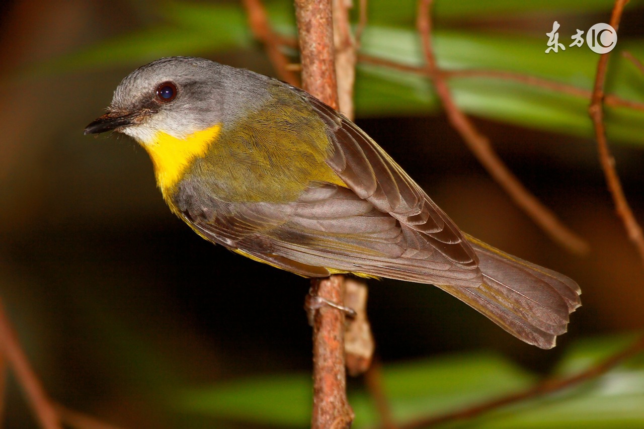 中国足球专业输球30年,中国足球队落后的原因