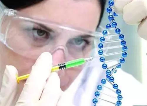 基因测序的最新消息,基因测试是真的还是假的