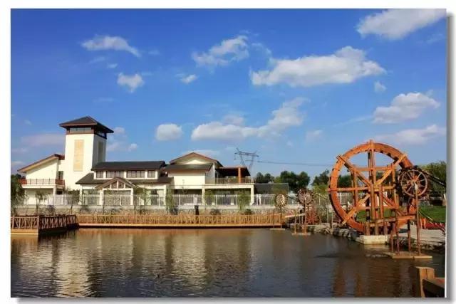 美爆了春天好去处,天津春天赏花的地方有哪些推荐