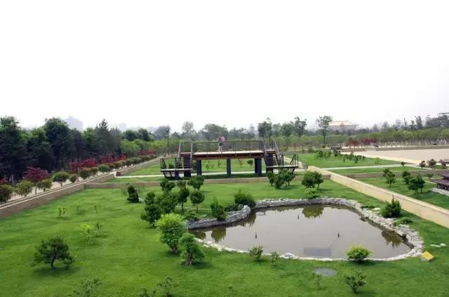 春天来了带着孩子出来,春天来了带着孩子去踏青吧