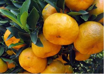 石长线货运列车时刻表,石长动车最新消息